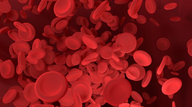 red-blood-cell-is-moving-blood-vessel