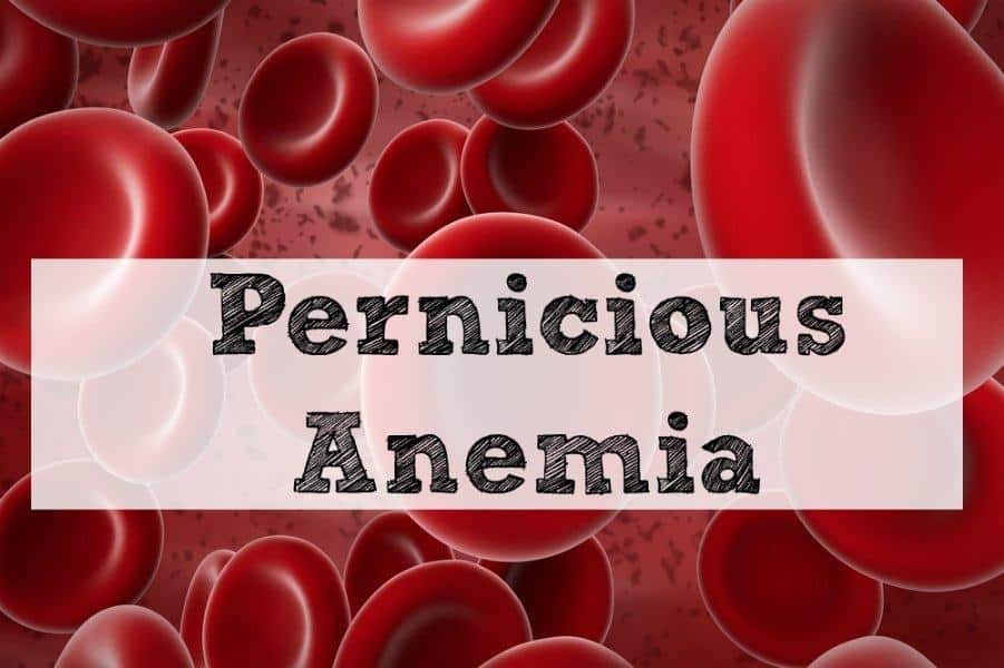 Pernicious-Anemia